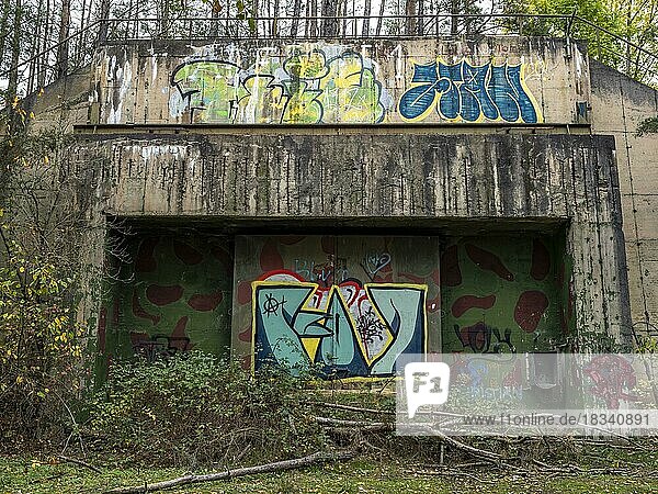 Mit Graffiti bemalter verschlossener Eingang zu einem ehemaligen Raketenbunker auf dem Großen Seeberg in Seebergen bei Gotha  wo sich zu DDR-Zeiten ein Raketenstützpunkt der NVA befand  Drei Gleichen  Thüringen  Deutschland  Europa