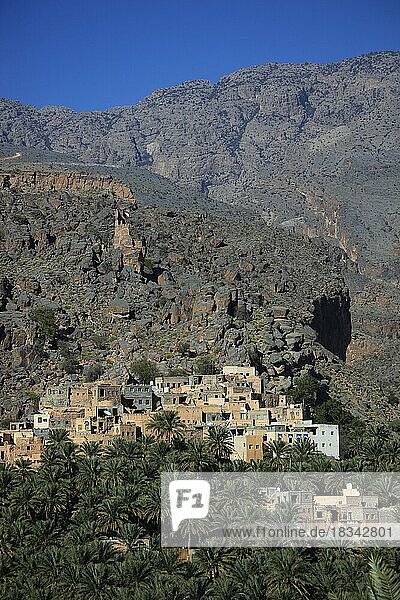Al-Hamra ist eine der vielen interessanten Oasen mit einem alten Lehmteil mit roten Häusern auf Steinfundamenten. Hier der Ortsteil Misfah der am steilen Berghang liegt  Oman  Asien