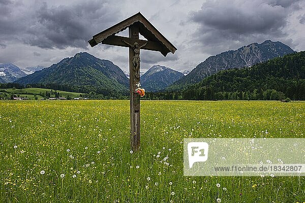 Feldkreuz mit Christusfigur  Lorettowiesen bei Oberstdorf  Allgäuer Alpen  Allgäu  Bayern  Deutschland  Europa