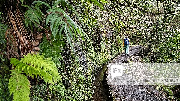 Hiker on a Levada  PR9 Levada do Caldeirão Verde  Madeira  Portugal  Europe