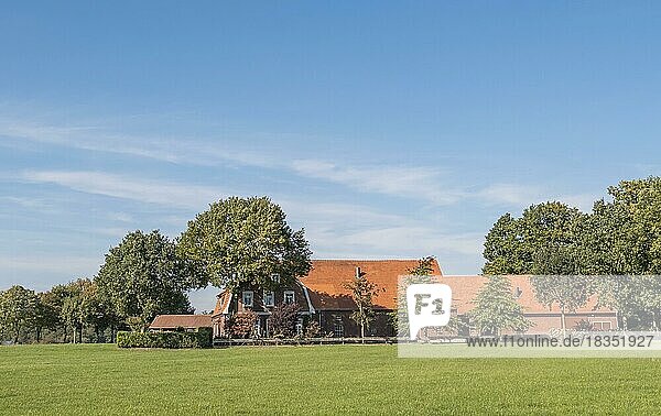 Alte Hofstelle  Bauernhof mit alten Bäumen  Münsterland  Nordrhein-Westfalen  Deutschland  Europa