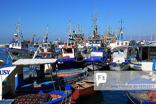 City of Trapani  boats in fishing harbour  Sicily  Italy  Europe