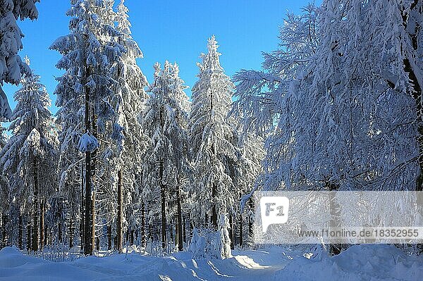 Winter landscape in the Fichtelgebirge  Bayreuth district  Upper Franconia  Bavaria  Germany  Europe