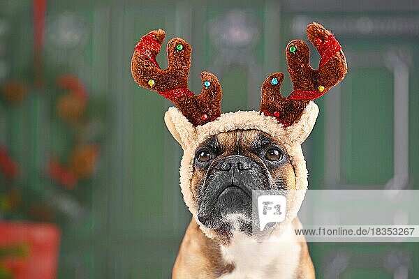 Niedliche Französische Bulldogge Hund mit Weihnachten Rentiergeweih Kostüm Stirnband