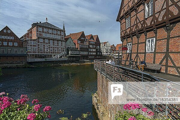 Historische Fachwerkhäuser am ehemaligen Hafen der Ilmenau  rechts eine ehemalige Mühle  Lüneburg  Niedersachsen  Deutschland  Europa