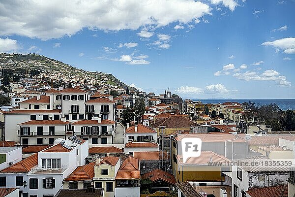 Blick über die Häuser der Stadt  Funchal  Madeira  Portugal  Europa