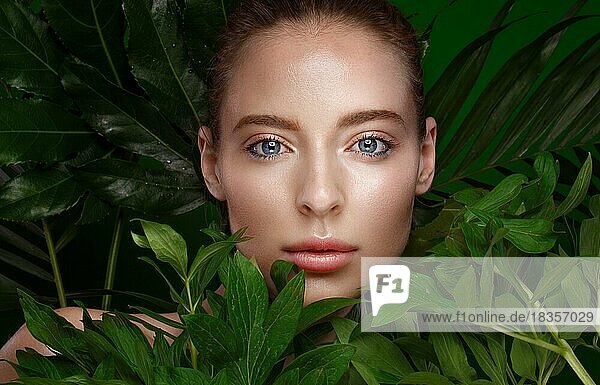 Schönes frisches Mädchen mit perfekter Haut  natürlichem Make-up und grünen Blättern. Schönes Gesicht. Foto im Studio aufgenommen