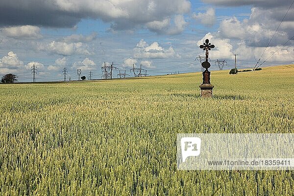 Feldkreuz in einem Weizenfeld  im Hintergrund Stromleitungen  nahe Dukovany  Tschechische Republik  Getreidefeld mit einem einsamen Feldkreuz  bei Dukovany  Südmähren  Kraj Vysocina  Tschechischen Republik  Europa