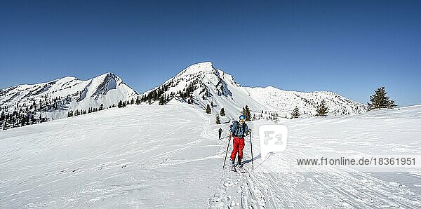 Ski tourers climbing Hochgern  behind snow-covered peaks Sonntagshorn and Hirscheck  Chiemgau Alps  Bavaria  Germany  Europe