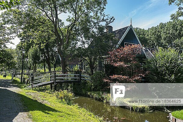 Dorfbild mit Vorgärten und traditionellen Häusern in der Straße Haaldersbroek im Ortsteil Kalverpolder  Zaandam  Nordholland  Niederlande  Europa