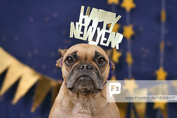 Nette französische Bulldogge Hund trägt Silvester Party Feier Stirnband mit Text Frohes neues Jahr vor blauem Hintergrund mit goldenen Girlanden