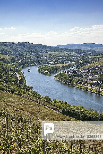 Ausblick von Burg Landshut auf das Moseltal  Bernkastel-Kues  Mosel  Rheinland-Pfalz  Deutschland  Europa