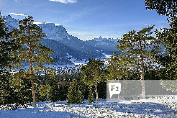 Winterlandschaft  am Wank  Garmisch-Partenkirchen  Oberbayern Bayern  Deutschland  Europa