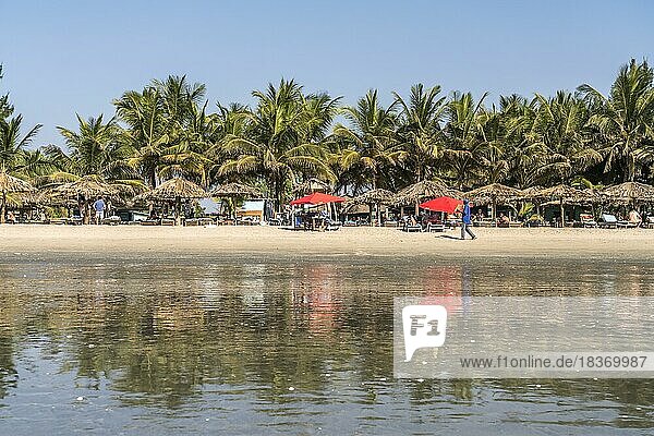Palmen am Strand der Rainbow Beach Bar And Lodge  Sanyang  Gambia  Westafrika  Afrika