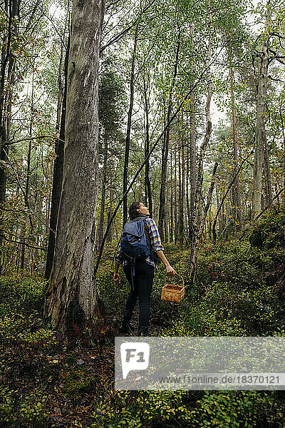 Rückansicht einer Frau mit Korb bei der Erkundung eines Waldes im Urlaub