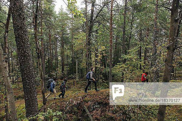 High angle view of family hiking in forest during vacation