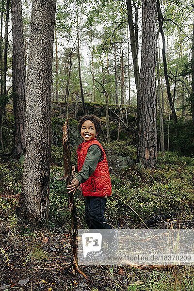 Seitenansicht eines Jungen  der wegschaut und Brennholz bei Bäumen im Wald hält