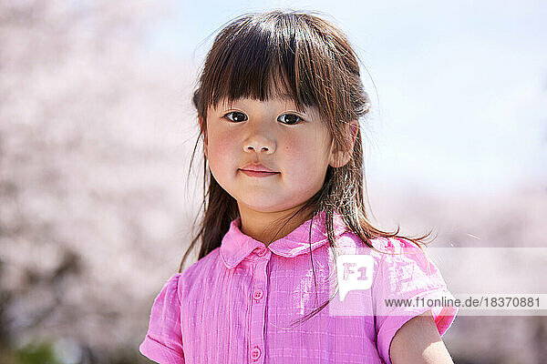 Japanese kid portrait with blooming cherry blossoms