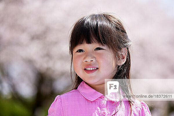 Japanese kid portrait with blooming cherry blossoms