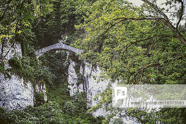 The princely Devils Bridge of Inzigkofen near Sigmaringen  Germany  Europe