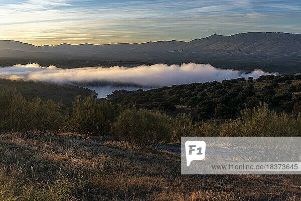 Monfragüe National Park  morning mist  fog over the reservoir of Tajo and Tietar  Extremadura Spain