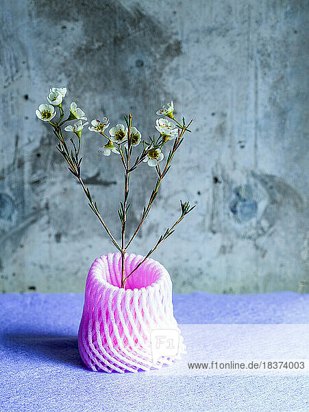 Studio shot,  a stem of small white flowers in a pink recycled plastic mesh vase.
