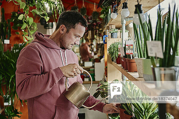 Man watering plants in flower shop