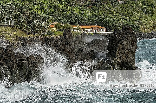 Wohnhaus am Meer Lavaklippen Insel Faial Azoren Portugal