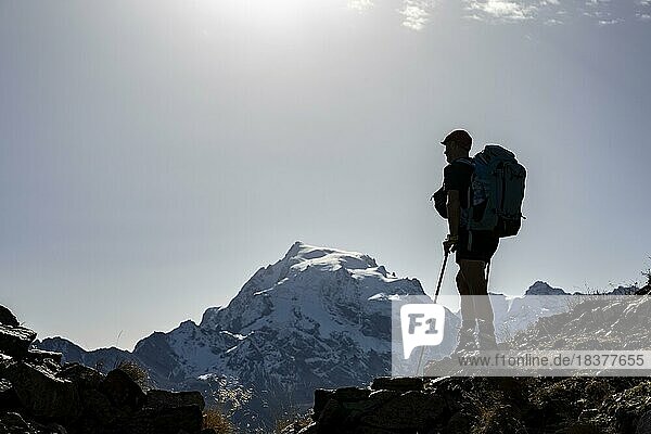 Mountaineers in the backlight in front of the Ortler summit massif  Trafoier Tal  Merano  Vinschgau  South Tyrol  Italy  Europe
