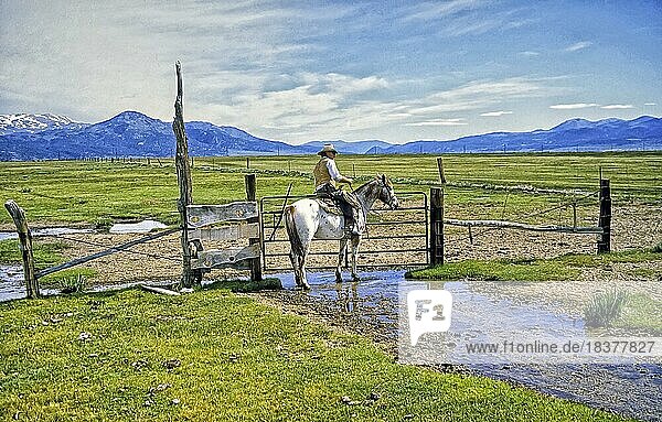 Cowboy auf Appaloosa-Pferd öffnet Weidegatter  Ranch-Gelände  Kalifornien  USA  Nordamerika