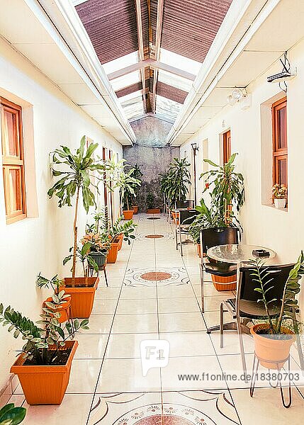 Ein Hotelkorridor mit Töpfen mit natürlichen Pflanzen. Korridore eines tropischen Hotels  Managua  Nicaragua  Mittelamerika