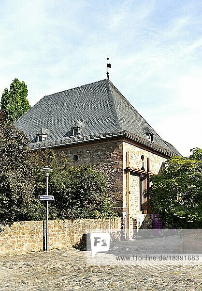 Synagoge im jüdischen Viertel  als Teil der SchUM-Städte UNESCO-Welterbe  Worms  Rheinland-Pfalz  Deutschland  Europa