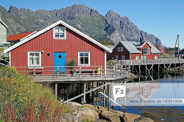 Hölzerne Häuser auf Stelzen an einem Fjord spiegeln sich im ruhigen Wasser eines Fjordes  Rorbuer  Urlaubshäuser  Henningsvaer  Kommune Vågan  Provinz Nordland  Norwegen  Europa