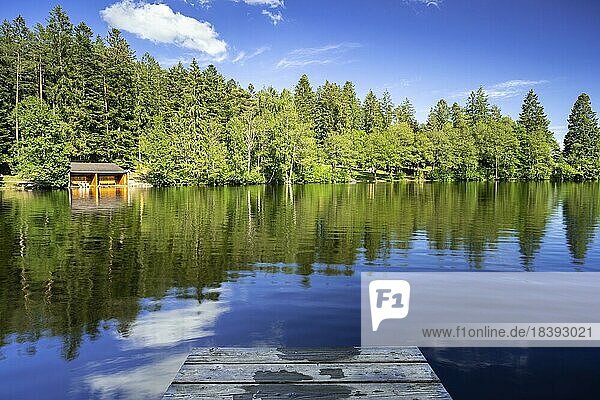 Ein See im Wald bei schönem Wetter  links die kleine Badehütte  vorne ein Holzsteg  Schlüchtsee bei Grafenhausen  Schwarzwald  Baden-Württemberg  Deutschland  Europa