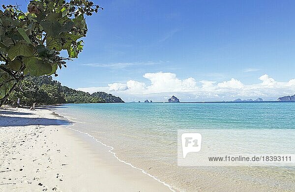 Paradise Beach  weißer Sandstrand  Koh Kradan  Andamanensee  Südthailand  Thailand  Asien