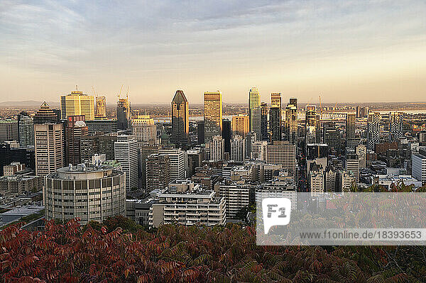 Blick auf die Skyline von Montreal vom Mont Royal Park im Herbst bei Sonnenuntergang  Montreal  Quebec  Kanada  Nordamerika