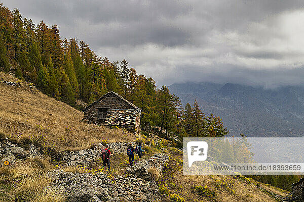 Drei Wanderer auf einem Saumpfad in der Nähe einer Hütte  Lys-Tal  Gressoney  Aosta-Tal  Italien  Europa