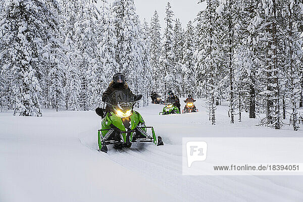 Tourists on snowmobiles in the winter forest covered with snow  Lapland  Sweden  Scandinavia  Europe