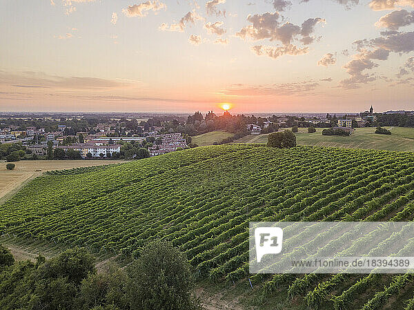 Luftaufnahme der italienischen Weinberge mit der aufgehenden Sonne am Horizont  Emilia-Romagna  Italien  Europa