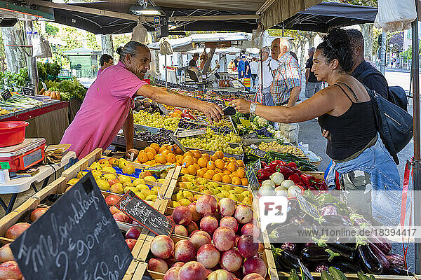 Markt  Sanary-sur-Mer  Provence-Alpes-Cote d'Azur  Frankreich  Westeuropa