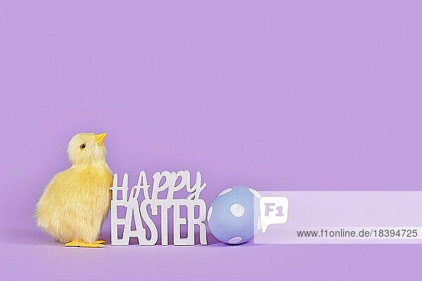 Dekoratives Osterküken  bemaltes Ei und Text Frohe Ostern in Ecke des violetten Hintergrunds mit Kopierraum