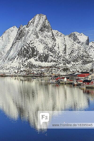 Ortsansicht Reine  Winter  hinten schneebedeckter Berg Olstinden  Reine  Lofoten  Nordland  Norwegen  Europa
