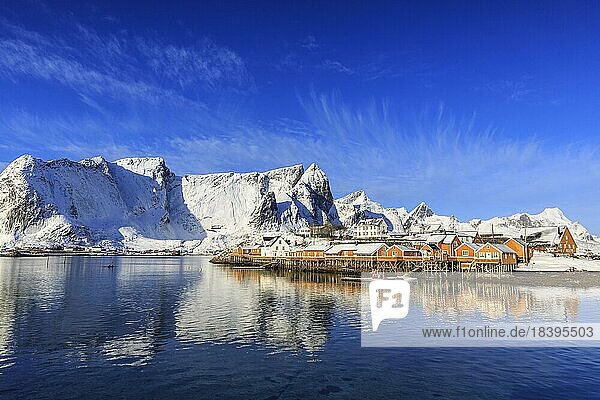 Gelbe Rorbuer im Winter  Fischerhütten  hinten schneebedeckte Berge  Sakrisøy  Reine  Lofoten  Nordland  Norwegen  Europa