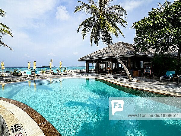 Ferieninsel auf den Malediven  Mit Schwimmbad  Hütten und Sonnenliegen  Malediven  Indischer Ozean  Asien