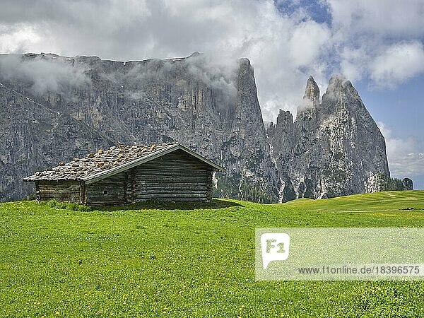 Alpine hut on the Alpe di Siusi  Sciliar  Dolomites  South Tyrol  Italy  Europe