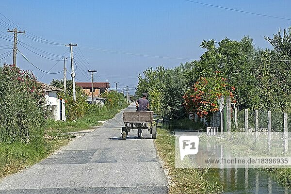 Albanian man riding cart pulled by donkey in rural village in northern Albania in summer