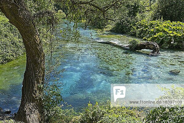 Blue Eye  Syri i Kaltër  springs of Bistricë  turquoise freshwater karst spring in summer near Muzinë in Finiq  Vlorë County  southern Albania