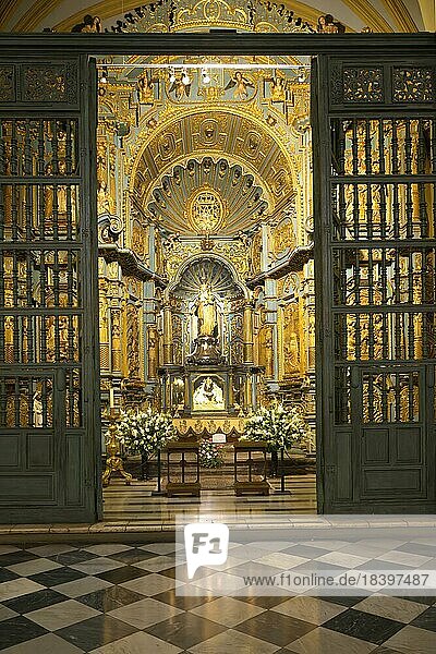 Basilika Metropolitan Kathedrale von Lima  Kapelle unserer Lieben Frau von der Evangelisierung  Lima  Peru  Südamerika