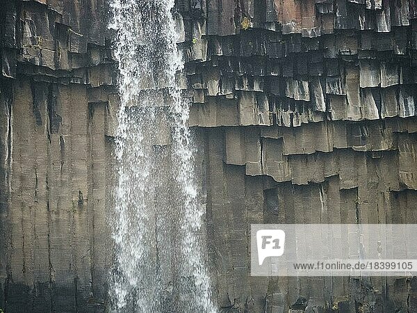 Svartifoss Wasserfall  Fluss Stórilækur fällt über eine Kante aus Basaltsäulen  Skaftafell National Park  Island  Europa