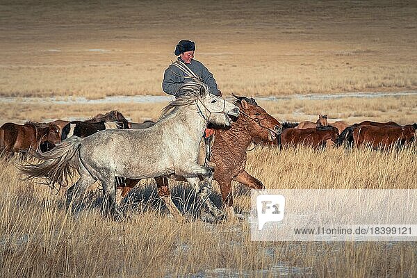 Riders in winter. Dornod Province  Mongolia  Asia